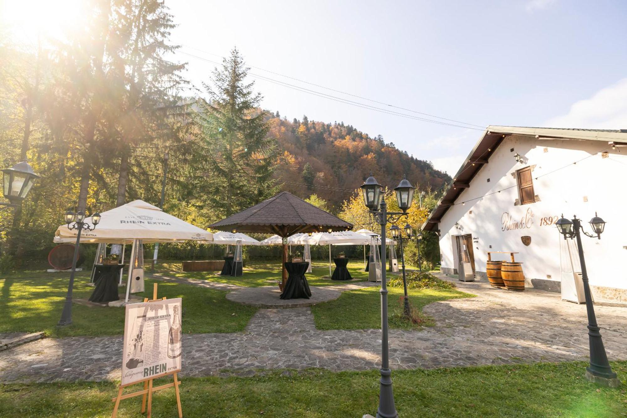 Pensiunea Rhein Azuga Exterior foto
